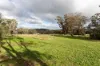 88 Mandagery Lane, Manildra, NSW 2865-Image