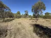 88 McLean Road, Durong, Qld 4610-Image