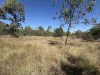 88 McLean Road, Durong, Qld 4610-Image