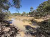 88 McLean Road, Durong, Qld 4610-Image