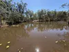 88 McLean Road, Durong, Qld 4610-Image