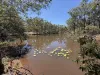 88 McLean Road, Durong, Qld 4610-Image