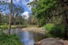 886-892 Tamborine - Oxenford Road, Wongawallan, Qld 4210-Image