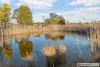 887 Dark Corner Road, Dark Corner, NSW 2795-Image