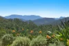 89 Chowan Creek Road, Chowan Creek, NSW 2484-Image