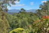 89 Chowan Creek Road, Chowan Creek, NSW 2484-Image