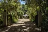 89 Gadgarra Road, Lake Barrine, Qld 4884