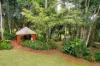 89 Gadgarra Road, Lake Barrine, Qld 4884-Image