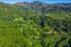 89 Geles Road, Upper Burringbar, NSW 2483-Image