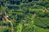 89 Geles Road, Upper Burringbar, NSW 2483-Image