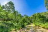 89 Geles Road, Upper Burringbar, NSW 2483-Image