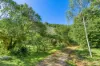89 Geles Road, Upper Burringbar, NSW 2483-Image