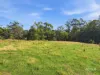 89 Patons Road, Penguin, Tas 7316-Image