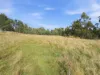 89 Patons Road, Penguin, Tas 7316-Image