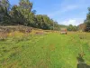 89 Patons Road, Penguin, Tas 7316-Image