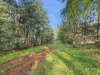 89 Patons Road, Penguin, Tas 7316-Image