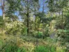 89 Patons Road, Penguin, Tas 7316-Image