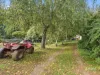 89 Patons Road, Penguin, Tas 7316-Image