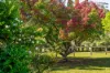 89 Tea Tree Lane, Nowra Hill, NSW 2540-Image
