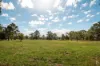 89 Tea Tree Lane, Nowra Hill, NSW 2540-Image