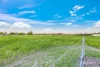 9 Eden Street East, Walkers Point, Qld 4650-Image