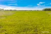 9 Eden Street East, Walkers Point, Qld 4650-Image