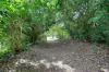 9 Greenmount Drive, Victoria Plains, Qld 4751-Image