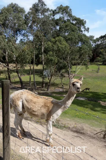 9 Jersey Court, Korumburra, Vic 3950-Image
