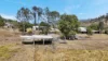 9 Lawrie Road, Sarina Range, Qld 4737-Image