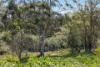 9 Martins Creek Road, Paterson, NSW 2421-Image