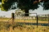 9 River Road, Gobbagombalin, NSW 2650