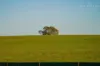 9 River Road, Gobbagombalin, NSW 2650-Image