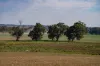 9 River Road, Gobbagombalin, NSW 2650-Image