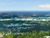 90-98 Courtney Drive, Upper Coomera, Qld 4209-Image