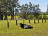 90 Bartlett's Road, Eviron, NSW 2484-Image