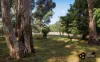 90 Jefferson Road, Garfield, Vic 3814-Image