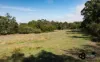 90 Jefferson Road, Garfield, Vic 3814-Image