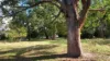 90 Jefferson Road, Garfield, Vic 3814-Image