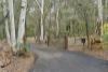 90 Prout Road, MacKenzie, Qld 4156-Image