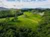 90 Stoney Creek Road, Speewah, Qld 4881-Image