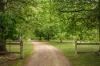 90 Thompsons Lane, Merricks, Vic 3916-Image