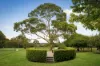 90 Thompsons Lane, Merricks, Vic 3916-Image