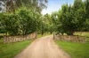 90 Thompsons Lane, Merricks, Vic 3916-Image