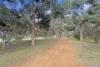 90 Tuart Forest Grove, Pink Lake, WA 6450-Image