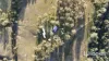 90 Waldron Road, Tamborine, Qld 4270-Image