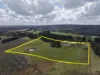 900 Williams Road, Scotts Creek, Vic 3267