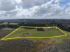 900 Williams Road, Scotts Creek, Vic 3267-Image