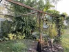 901 Wooroora Road, Millstream, Qld 4888-Image