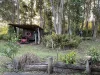 901 Wooroora Road, Millstream, Qld 4888-Image