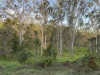 901 Wooroora Road, Millstream, Qld 4888-Image